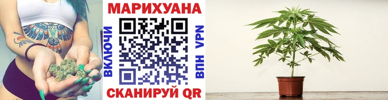 Бошки Шишки MAZAR  Кропоткин 